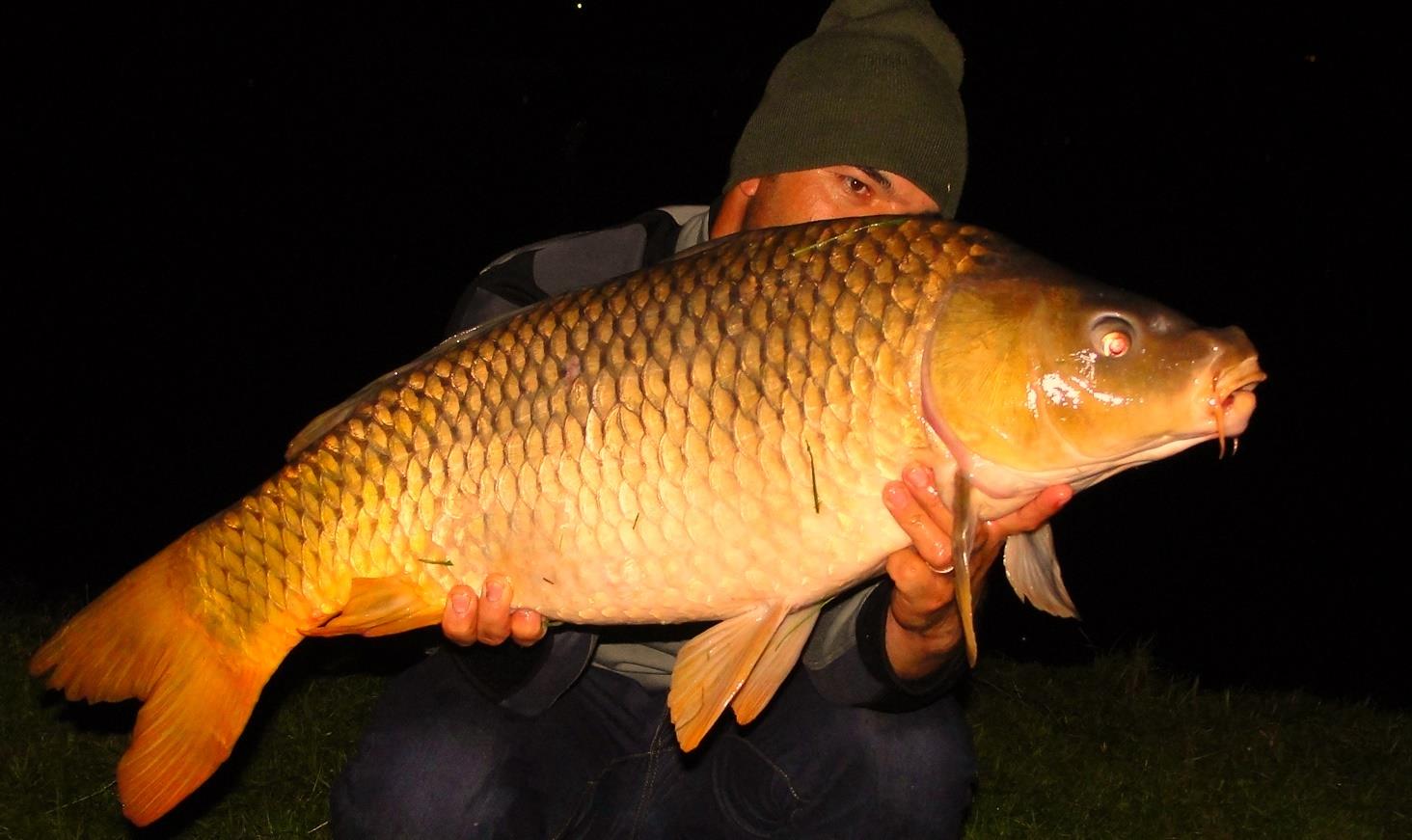 Moara Vlasiei 2 13 - 14 iunie 2014 - 2.JPG